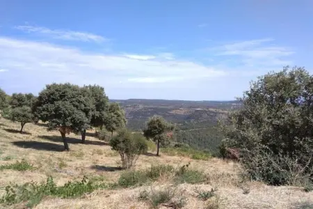 Cristal de Roche, Villa de style avec piscine privée à Félines-Minervois - Photo 38
