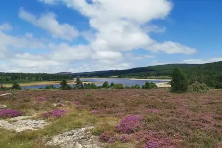 Domaine Courniou, Villa de luxe à Courniou avec piscine privée - Photo 33