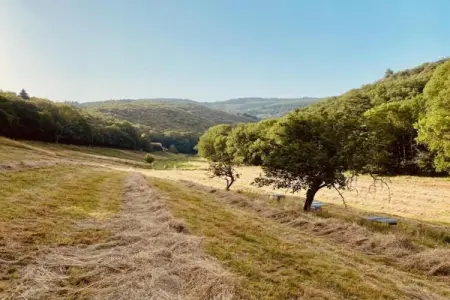 Domaine Courniou, Villa de luxe à Courniou avec piscine privée - Photo 36