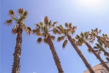 Domaine résidentiel de Plein Air La Pinède 1, Gîte confort avec terrasse dans une zone boisée près d'Agde - Photo 13