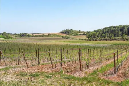 Domaine résidentiel de Plein Air La Pinède 1, Gîte confort avec terrasse dans une zone boisée près d'Agde - Photo 14