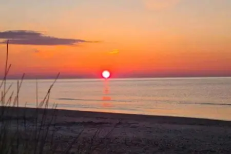 Domaine résidentiel de Plein Air La Pinède 1, Gîte confort avec terrasse dans une zone boisée près d'Agde - Photo 27