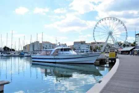 Domaine résidentiel de Plein Air La Pinède 1, Gîte confort avec terrasse dans une zone boisée près d'Agde - Photo 31