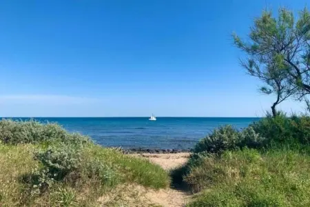 Domaine résidentiel de Plein Air La Pinède 1, Gîte confort avec terrasse dans une zone boisée près d'Agde - Photo 32