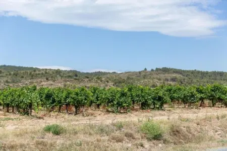 Maison Piscine Village Vue Imprenable, Villa de luxe à Montouliers avec piscine privée - Photo 29