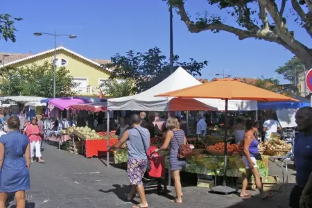 Domaine de Lavit, Villa traditionnelle avec jardin privé à Viols-en-Laval - Photo 28
