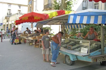 Domaine de Lavit, Villa traditionnelle avec jardin privé à Viols-en-Laval - Photo 30