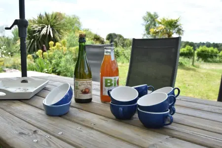 Les Volets Bleus, Belle propriété proche de la Bretagne avec jardin clôturé - Photo 18