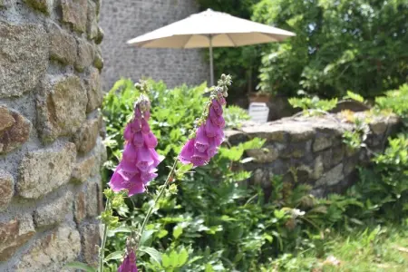 Les Volets Bleus, Belle propriété proche de la Bretagne avec jardin clôturé - Photo 28