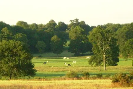 Les Volets Bleus, Belle propriété proche de la Bretagne avec jardin clôturé - Photo 32