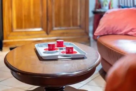 L'Eguillere, Charmante maison de vacances adaptée aux enfants, La Boussac - Photo 31