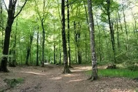 Résidence Le Domaine de l'Emeraude 3, Maison de vacances jumelée au cœur de la Bretagne historique - Photo 29