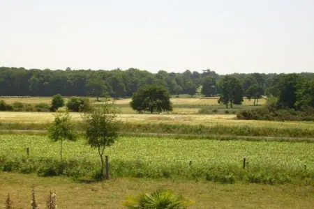 Résidence Le Domaine de l'Emeraude 3, Maison de vacances jumelée au cœur de la Bretagne historique - Photo 34