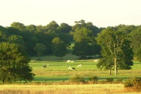 Résidence Le Domaine de l'Emeraude 3, Maison de vacances jumelée au cœur de la Bretagne historique - Photo 36