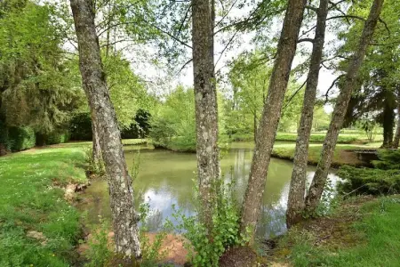 La Riviere, Maison de vacances de charme à Faverolles, piscine et étang - Photo 28