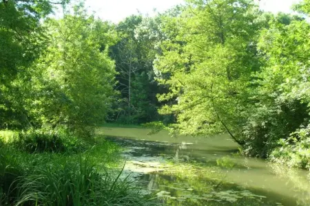 Residence Les Jardins Renaissance 3, Maison de vacances bien entretenue avec jardin et terrasse - Photo 5