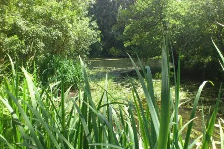 Residence Les Jardins Renaissance 3, Maison de vacances bien entretenue avec jardin et terrasse - Photo 20