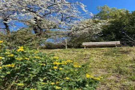 Residence Les Jardins Renaissance 3, Maison de vacances bien entretenue avec jardin et terrasse - Photo 22