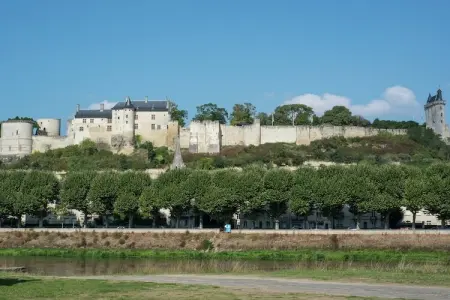 Maison de vacances Beaumont en Véron, Maison de vacances de luxe avec pelouse à Beaumont-en-Véron près de Chinon - Photo 36