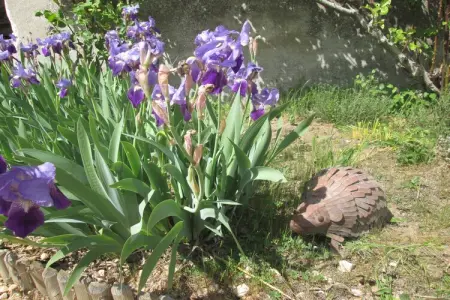 Domaine de Cessigny, Maison de vacances confortable près de la forêt à Lerné - Photo 23