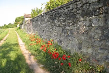 Domaine de Cessigny, Maison de vacances confortable près de la forêt à Lerné - Photo 24