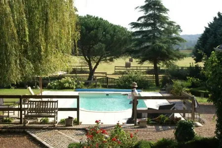 Maison de vacances Cinais, Ancienne maison de douane avec grand jardin et piscine privée. 4 km de Chinon - Photo 19