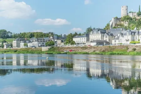 Maison de vacances Cinais, Ancienne maison de douane avec grand jardin et piscine privée. 4 km de Chinon - Photo 37