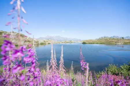 Chalet - Oz-en-Oisans, Chalet paisible avec terrasse à L'Alpe-d'Huez - Photo 17