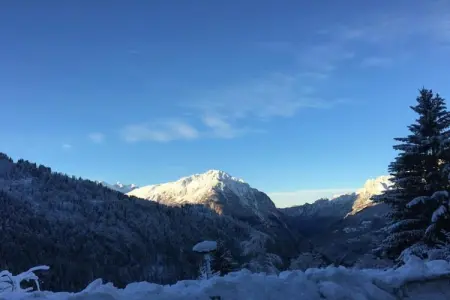Chalet - Oz-en-Oisans, Chalet paisible avec terrasse à L'Alpe-d'Huez - Photo 33