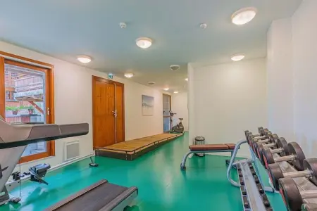 Les Epinettes 7, Bel appartement avec lave-vaisselle au cœur de Vaujany - Photo 14