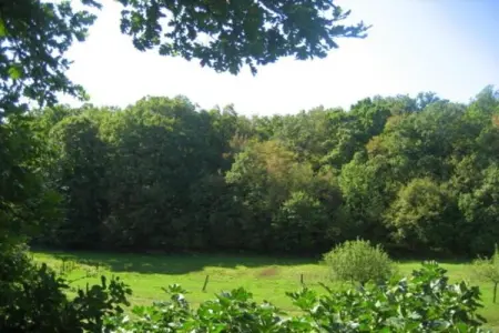 Les Balcons d'Auréa 1, Appartement confortable, lave-vaisselle, à 100 m des pistes - Photo 25