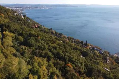 Les Balcons d'Auréa 2, Appartement confortable, lave-vaisselle, à 100 m des pistes - Photo 21