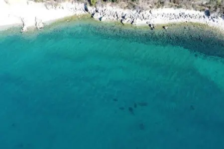 Les Balcons d'Auréa 2, Appartement confortable, lave-vaisselle, à 100 m des pistes - Photo 22