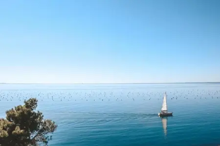 Les Balcons d'Auréa 2, Appartement confortable, lave-vaisselle, à 100 m des pistes - Photo 30
