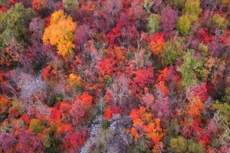 Les Balcons d'Auréa 3, Appartement confortable, lave-vaisselle, à 100 m des pistes - Photo 20