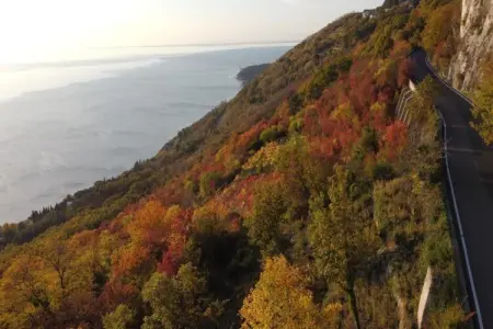 Les Balcons d'Auréa 3, Appartement confortable, lave-vaisselle, à 100 m des pistes - Photo 21