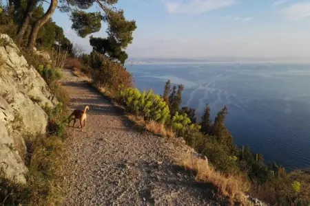 Les Balcons d'Auréa 4, Appartement confortable, lave-vaisselle, à 100 m des pistes - Photo 25