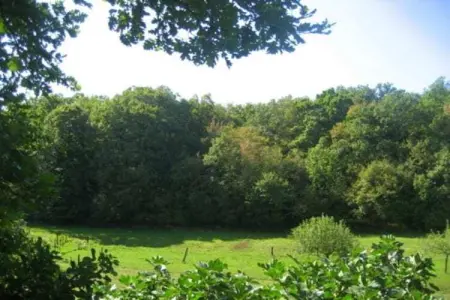 Les Balcons d'Auréa 4, Appartement confortable, lave-vaisselle, à 100 m des pistes - Photo 27