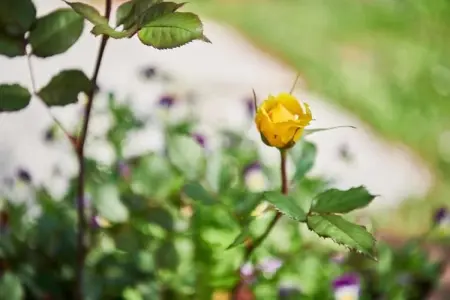 Les Balcons d'Auréa 4, Appartement confortable, lave-vaisselle, à 100 m des pistes - Photo 34