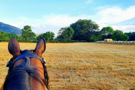 Les Prats, Chalet à Saint-Jean-de-Vaulx avec vue sur la montagne - Photo 31