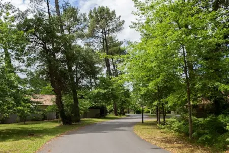 Villas Clairière aux Chevreuils 3, Villa de luxe avec grand jardin près de l'Etang de Laprade - Photo 27