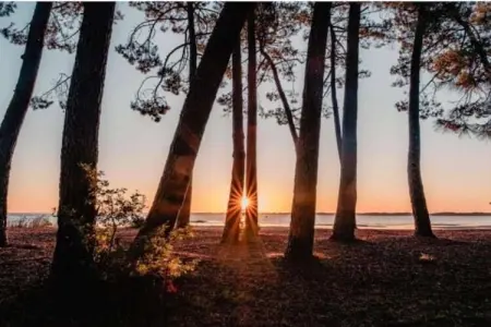 Villas de la Prade 3, Belle villa avec piscine privée au bord de l'Atlantique - Photo 10
