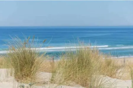 Villas de la Prade 2, Belle villa avec piscine privée au bord de l'Atlantique - Photo 7