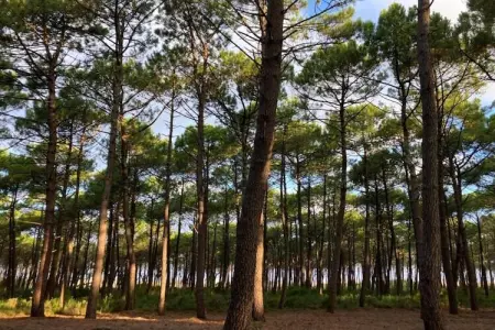 Villas de la Prade 2, Belle villa avec piscine privée au bord de l'Atlantique - Photo 14