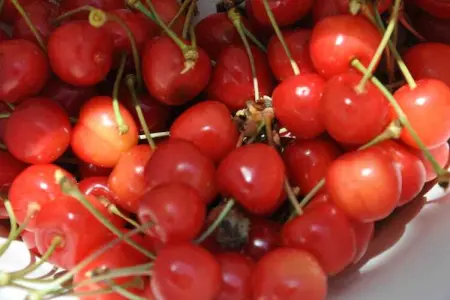 La Bergerie les Drageonnières, Maison de vacances avec piscine à Montrichard, en France - Photo 27