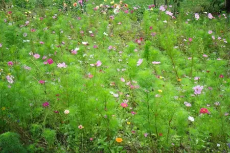 Gite du Pradal, Maison de vacances avec terrasse à Villeneuve-d'Allier - Photo 16