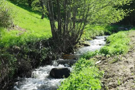 Gite du Pradal, Maison de vacances avec terrasse à Villeneuve-d'Allier - Photo 19