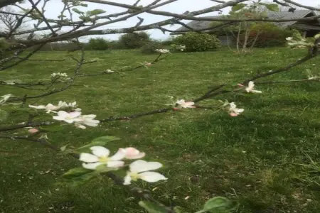Gite du Pradal, Maison de vacances avec terrasse à Villeneuve-d'Allier - Photo 36