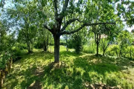 Rougeac, Maison de vacances à Villeneuve-d'Allier dans la forêt - Photo 35