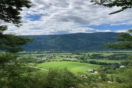 Rougeac, Maison de vacances à Villeneuve-d'Allier dans la forêt - Photo 39